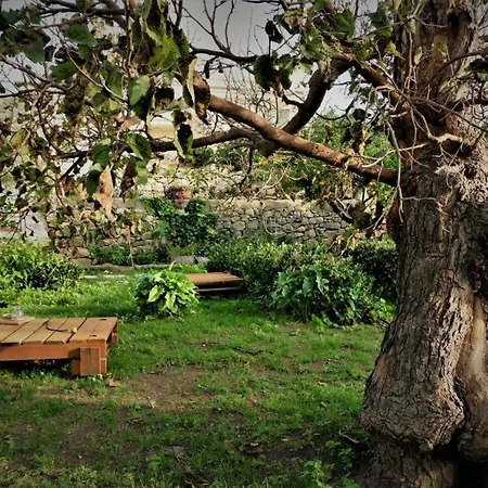 Giardino Farina Dimora Storica-2